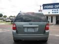 2006 Titanium Green Metallic Ford Freestyle Limited  photo #4