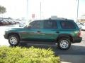 Timberline Green Pearlcoat - Durango SXT Photo No. 6