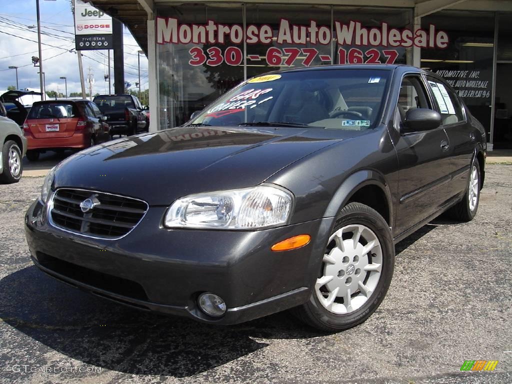 Gray Lustre Metallic Nissan Maxima