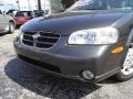 Gray Lustre Metallic - Maxima GXE Photo No. 9