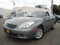 2004 Thunder Cloud Metallic Lexus ES 330 #17099095