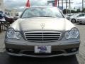 Pewter Metallic - C 230 Sport Photo No. 2