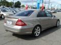 Pewter Metallic - C 230 Sport Photo No. 4