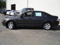 2006 Charcoal Beige Metallic Ford Fusion SE V6  photo #2