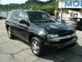 2008 Black Chevrolet TrailBlazer LS 4x4  photo #20