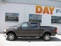 Dark Stone Metallic - F150 XLT SuperCrew 4x4 Photo No. 2