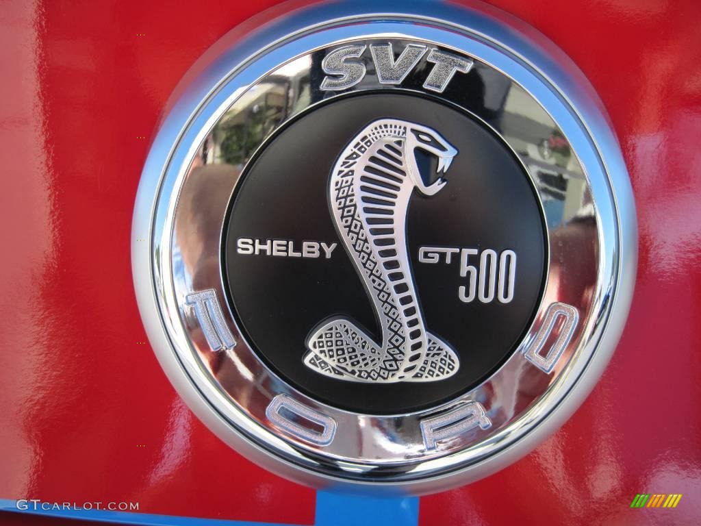 2010 Mustang Shelby GT500 Coupe - Grabber Blue / Charcoal Black/Red photo #23