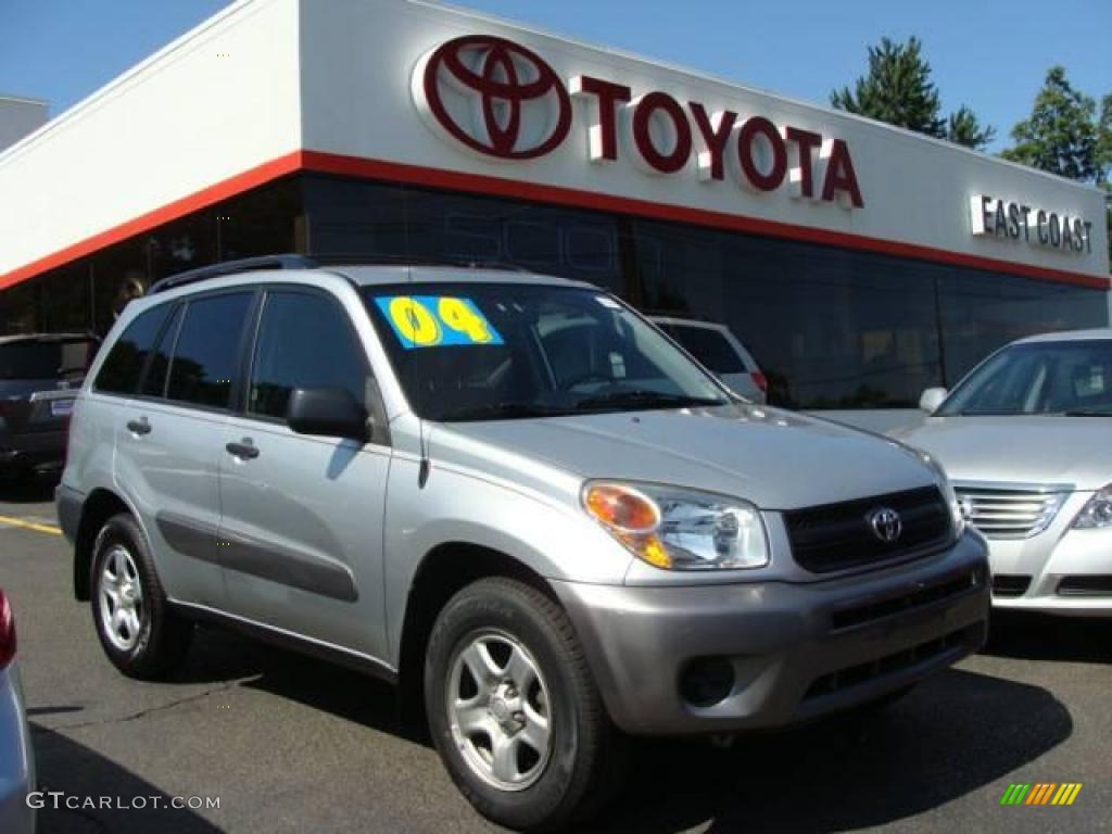 2004 RAV4 4WD - Titanium Metallic / Dark Charcoal photo #1