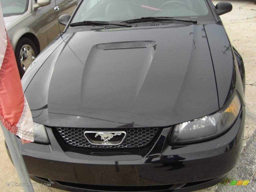 1999 Mustang GT Convertible - Black / Dark Charcoal photo #1