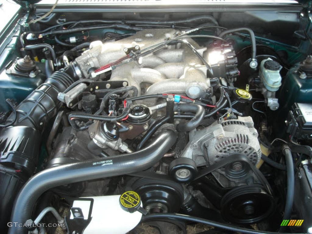 1999 Mustang V6 Coupe - Dark Green Satin Metallic / Light Graphite photo #15