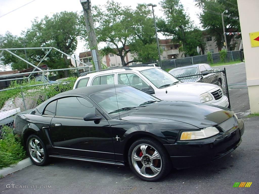 2000 Mustang V6 Coupe - Black / Dark Charcoal photo #2