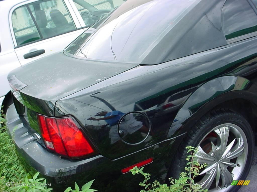 2000 Mustang V6 Coupe - Black / Dark Charcoal photo #3