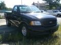 2001 Black Ford F150 XL Regular Cab  photo #3