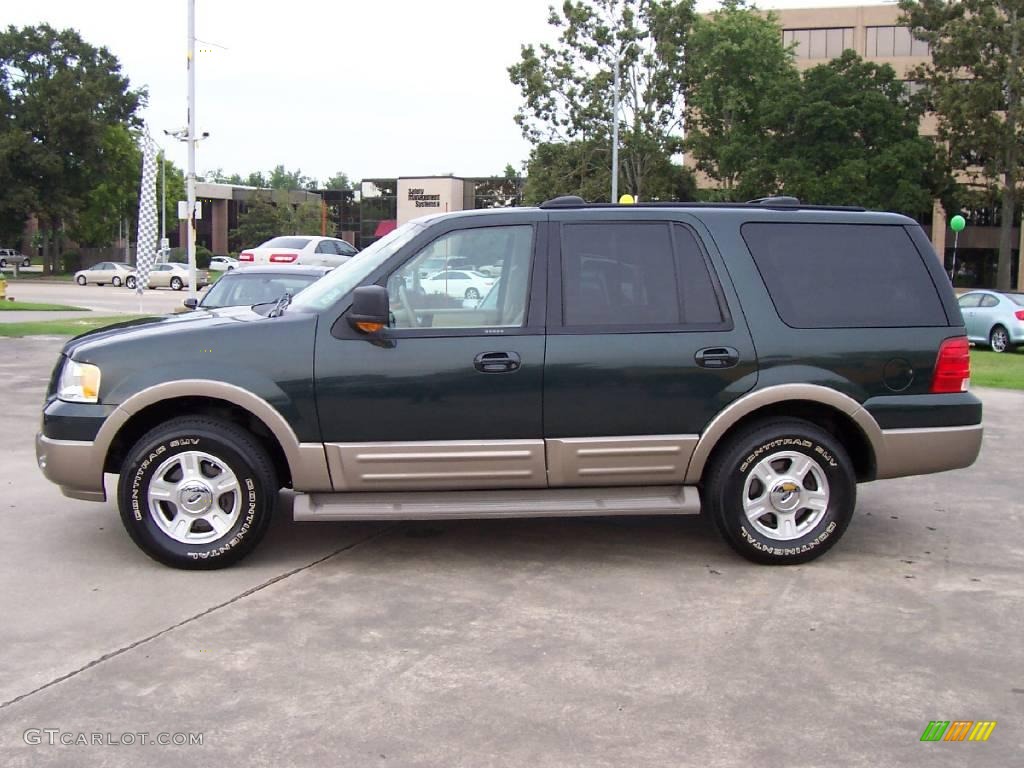 2004 Expedition Eddie Bauer - Aspen Green Metallic / Medium Parchment photo #2