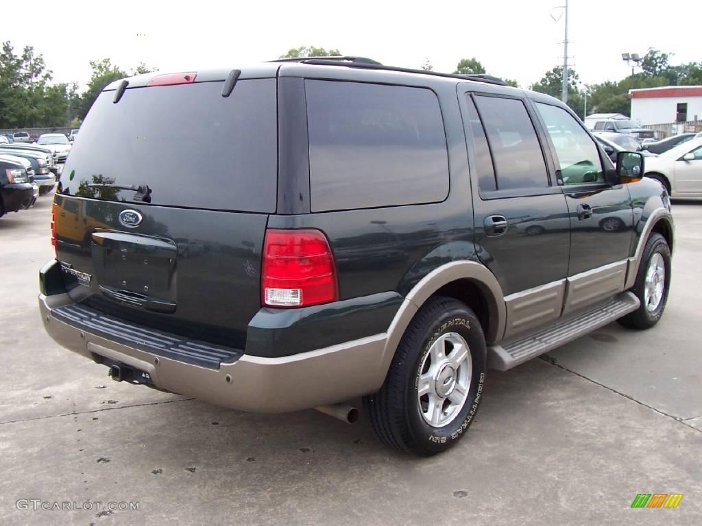 2004 Expedition Eddie Bauer - Aspen Green Metallic / Medium Parchment photo #5