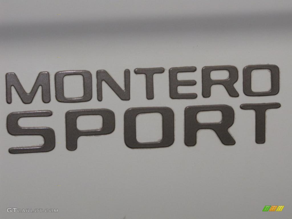 2000 Montero Sport LS 4x4 - Alpine White / Gray photo #15