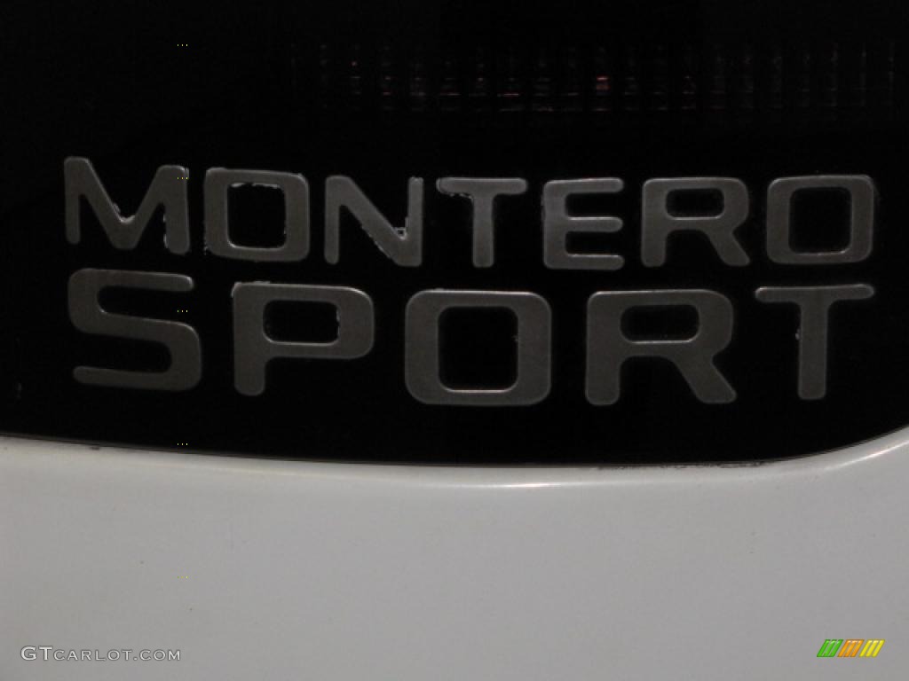 2000 Montero Sport LS 4x4 - Alpine White / Gray photo #16