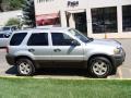 2005 Silver Metallic Ford Escape XLT 4WD  photo #4