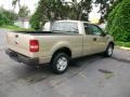 Pueblo Gold Metallic - F150 XL SuperCab Photo No. 3