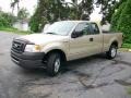 2008 Pueblo Gold Metallic Ford F150 XL SuperCab  photo #7