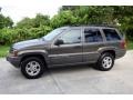 Taupe Frost Metallic - Grand Cherokee Laredo 4x4 Photo No. 2