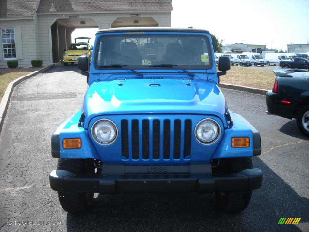 2003 Wrangler SE 4x4 - Intense Blue Pearl / Dark Slate Gray photo #8