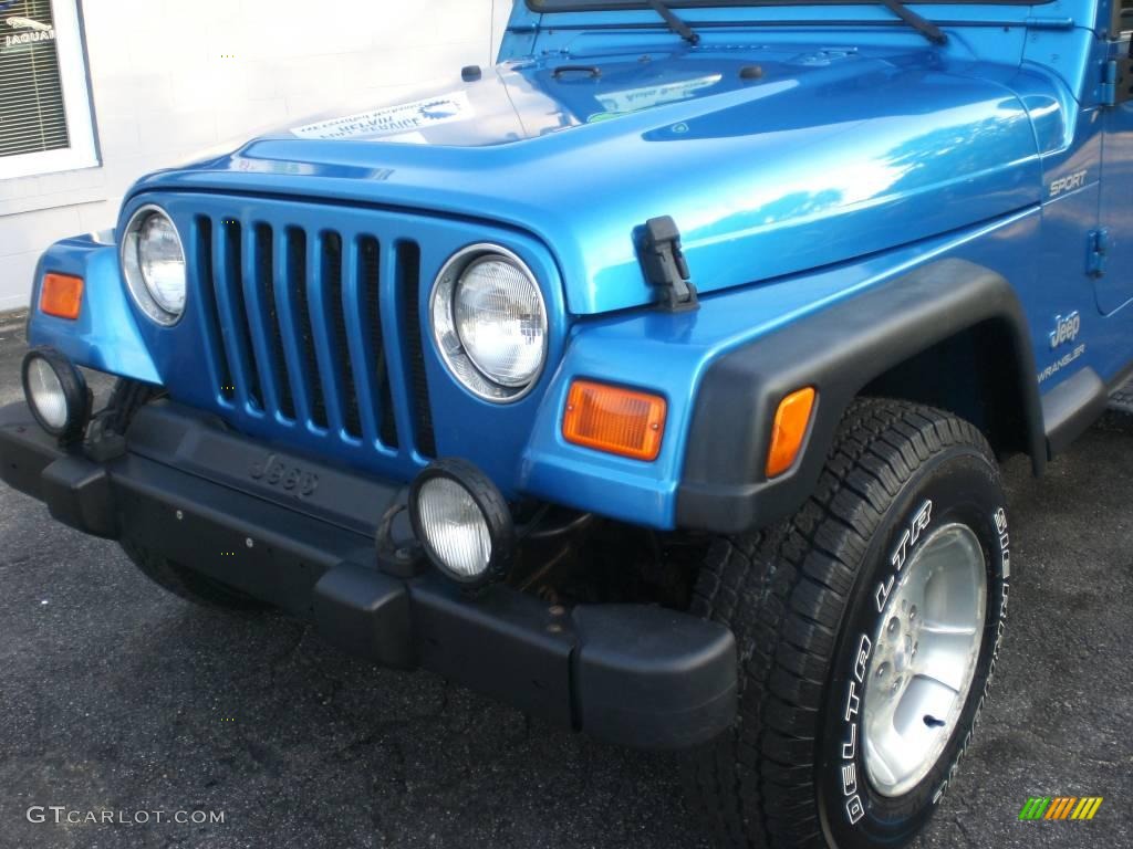 2003 Wrangler Sport 4x4 - Intense Blue Pearl / Dark Slate Gray photo #16