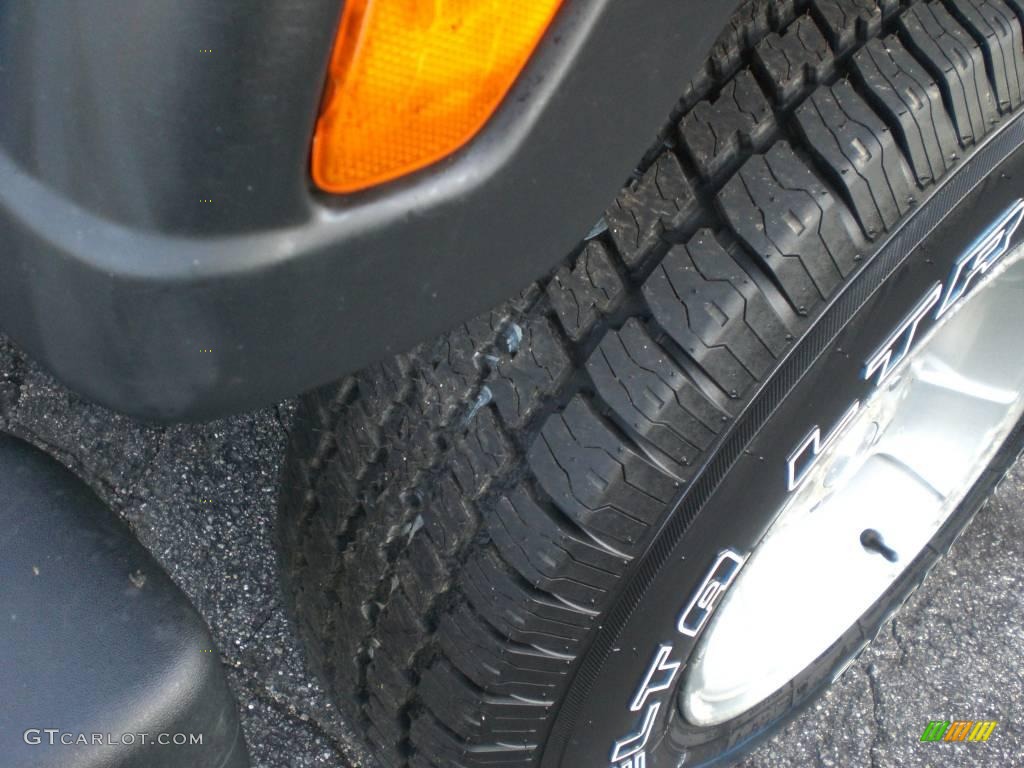 2003 Wrangler Sport 4x4 - Intense Blue Pearl / Dark Slate Gray photo #46