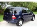 Orion Blue Metallic - ML 320 4Matic Photo No. 7