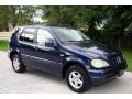 Orion Blue Metallic - ML 320 4Matic Photo No. 11