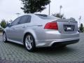 Alabaster Silver Metallic - TL 3.2 Photo No. 3