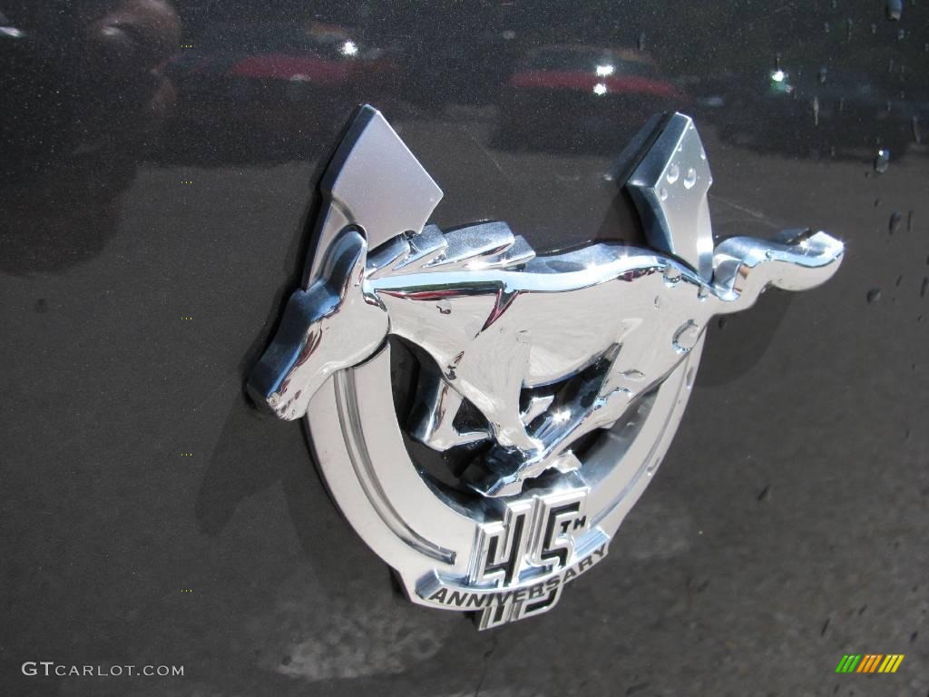 2009 Mustang GT Premium Coupe - Alloy Metallic / Dark Charcoal photo #3