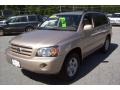 Sonora Gold Metallic - Highlander 4WD Photo No. 21