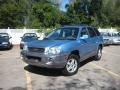 2004 Arctic Blue Hyundai Santa Fe LX 4WD  photo #1