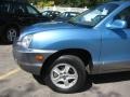 2004 Arctic Blue Hyundai Santa Fe LX 4WD  photo #8