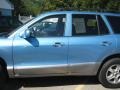 2004 Arctic Blue Hyundai Santa Fe LX 4WD  photo #9