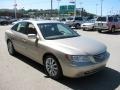 2008 Golden Beige Hyundai Azera Limited  photo #10