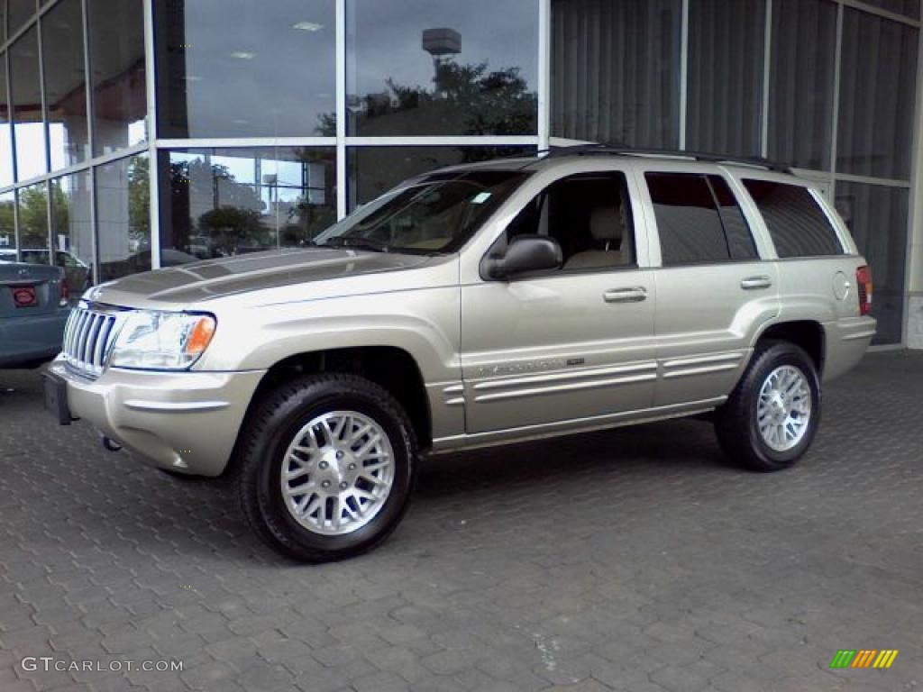 2004 Grand Cherokee Limited 4x4 - Light Pewter Metallic / Sandstone photo #3