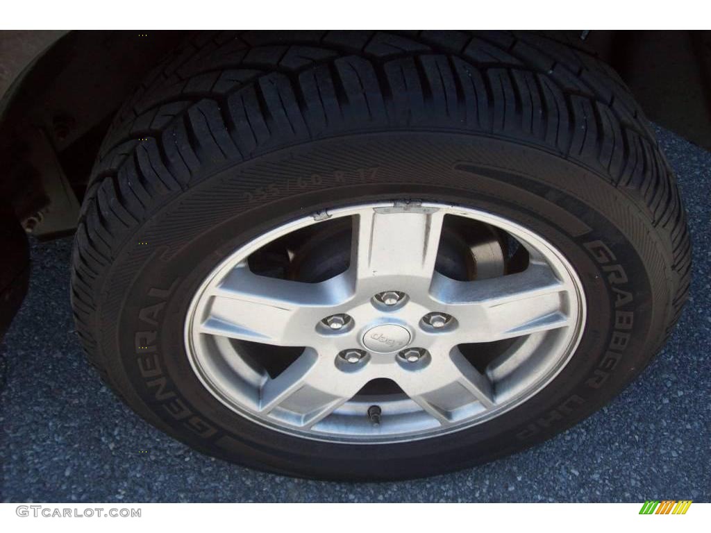 2005 Grand Cherokee Laredo 4x4 - Brilliant Black Crystal Pearl / Medium Slate Gray photo #10