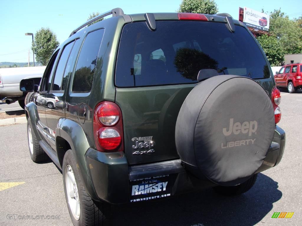 2006 Liberty Limited 4x4 - Jeep Green Metallic / Dark/Light Slate Gray photo #6
