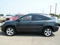 2007 Flint Gray Mica Lexus RX 350  photo #2