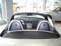 GT Silver Metallic - Boxster RS 60 Spyder Photo No. 14