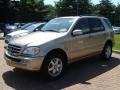 Desert Silver Metallic 2003 Mercedes-Benz ML 500 4Matic