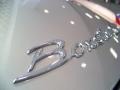 GT Silver Metallic - Boxster RS 60 Spyder Photo No. 20