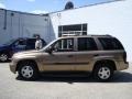 2003 Sandalwood Metallic Chevrolet TrailBlazer LS 4x4  photo #9