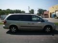 Linen Gold Metallic - Grand Caravan SE Photo No. 11