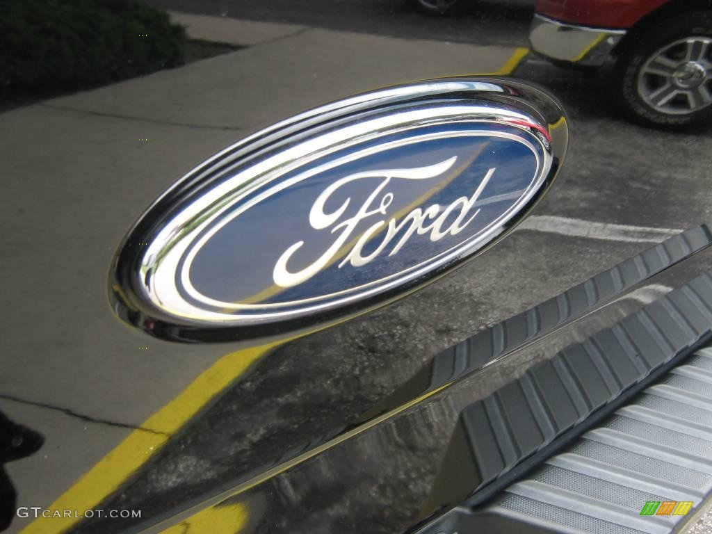 2004 F150 Lariat SuperCrew 4x4 - Black / Tan photo #11