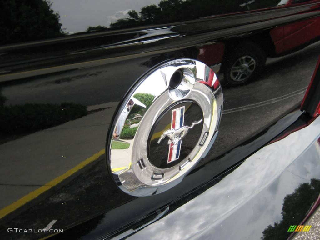2008 Mustang V6 Premium Convertible - Black / Medium Parchment photo #13