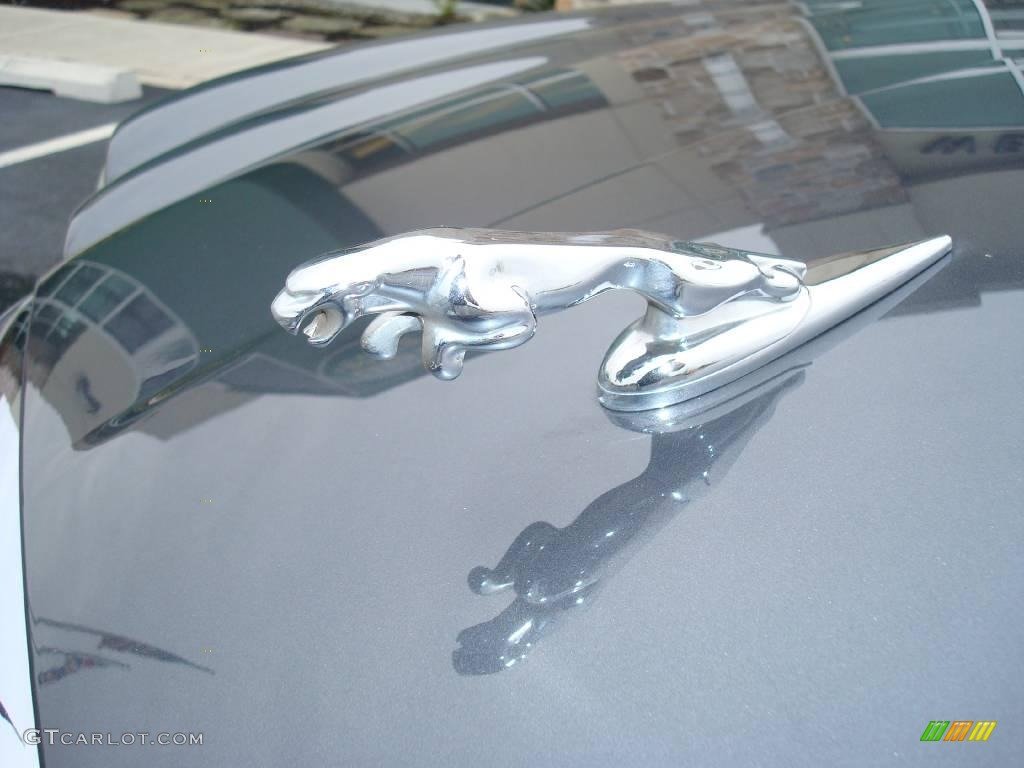 2004 XJ XJ8 - Dark Blue Grey Pearl Metallic / Charcoal photo #20