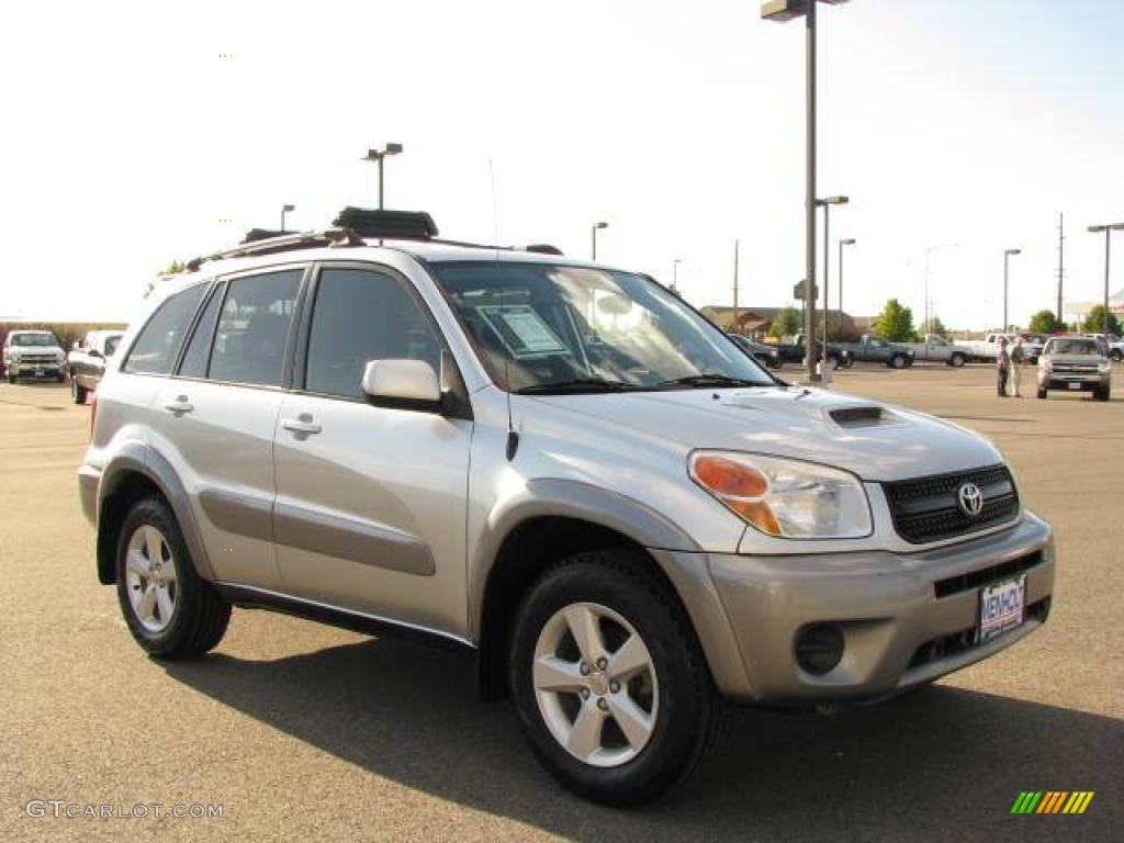 2004 RAV4 4WD - Titanium Metallic / Dark Charcoal photo #4